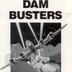The dam busters video game manual